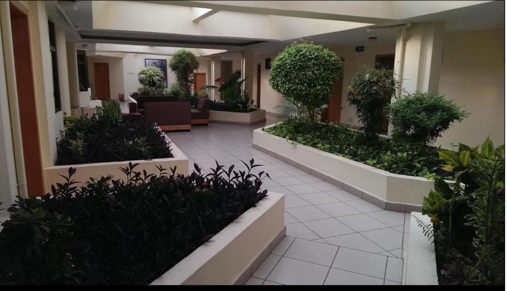 Hotel Marjorie 'Y' 特马 外观 照片